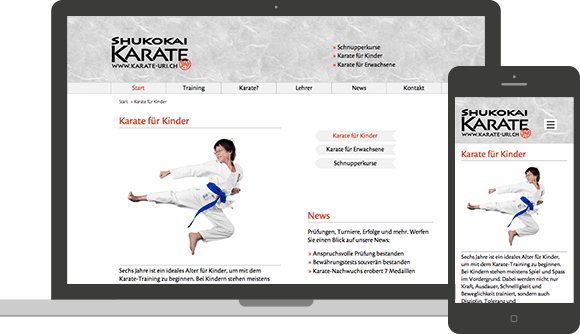 Shukokai Karate